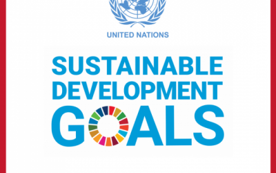 Twin: On The Way of Sustainable Development  Goals
