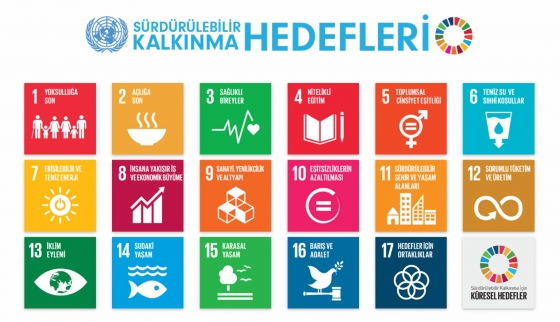 Twin: Sürdürülebilir Kalkınma Hedefleri Yolunda