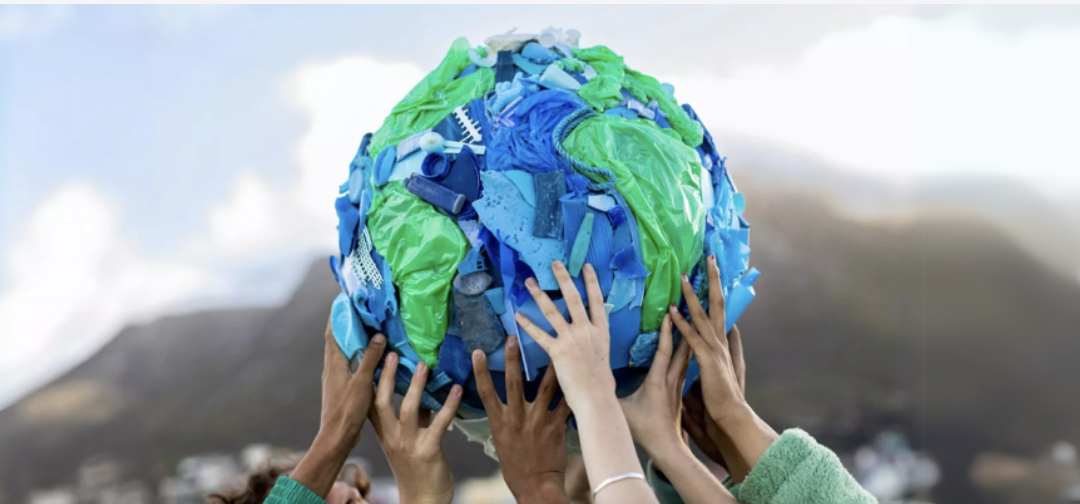 Twin Education Spotlight: Ideas That Bloom in Your Classroom!