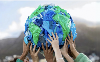 Twin Education Spotlight: Ideas That Bloom in Your Classroom!